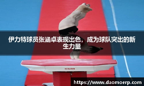 yy体育