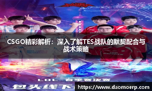 CSGO精彩解析：深入了解TES战队的默契配合与战术策略